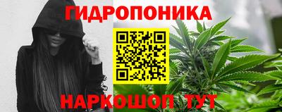 ECSTASY Чебоксары