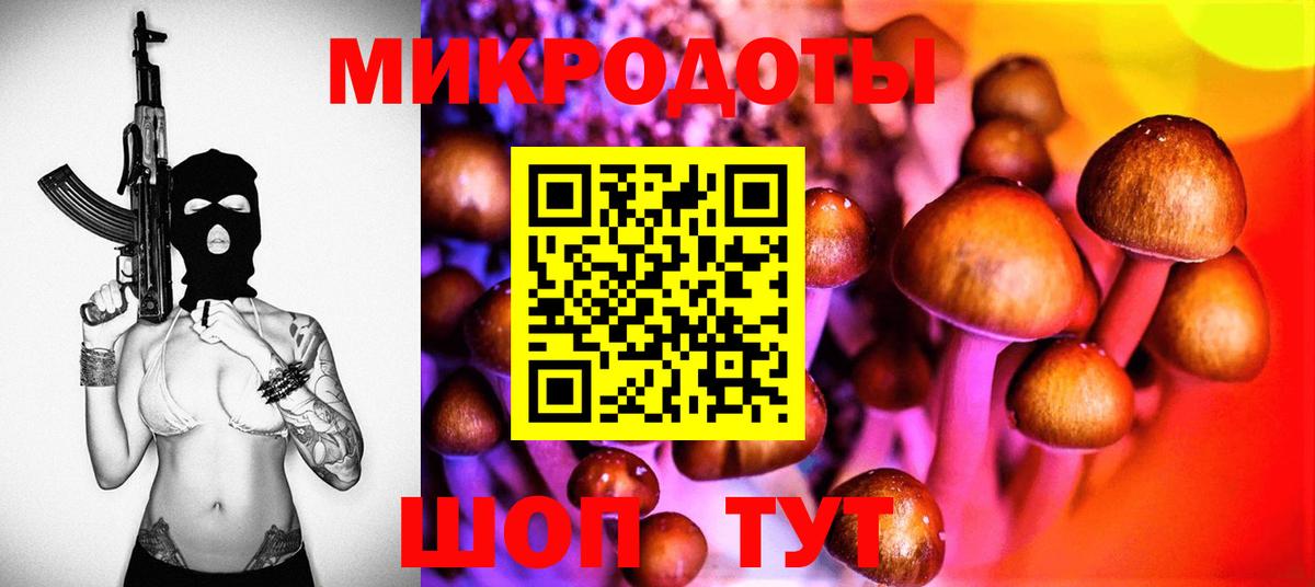 Псилоцибиновые грибы Cubensis  Вход с VPN  Аргун 